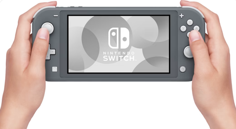 Buy Nintendo Switch Lite Gray in Georgia