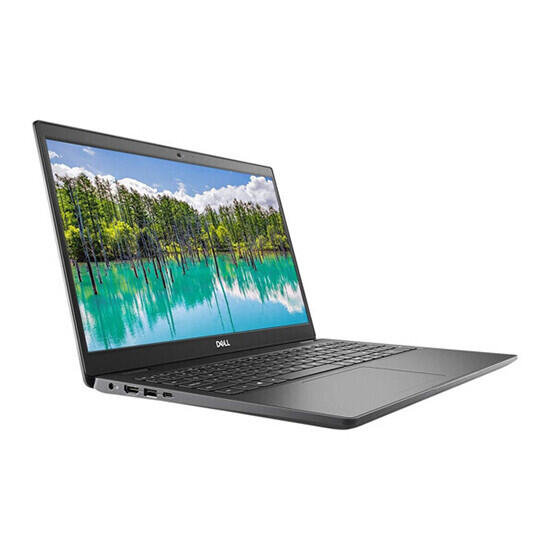 Dell Latitude 3510 (210-AVLO_24423) Black