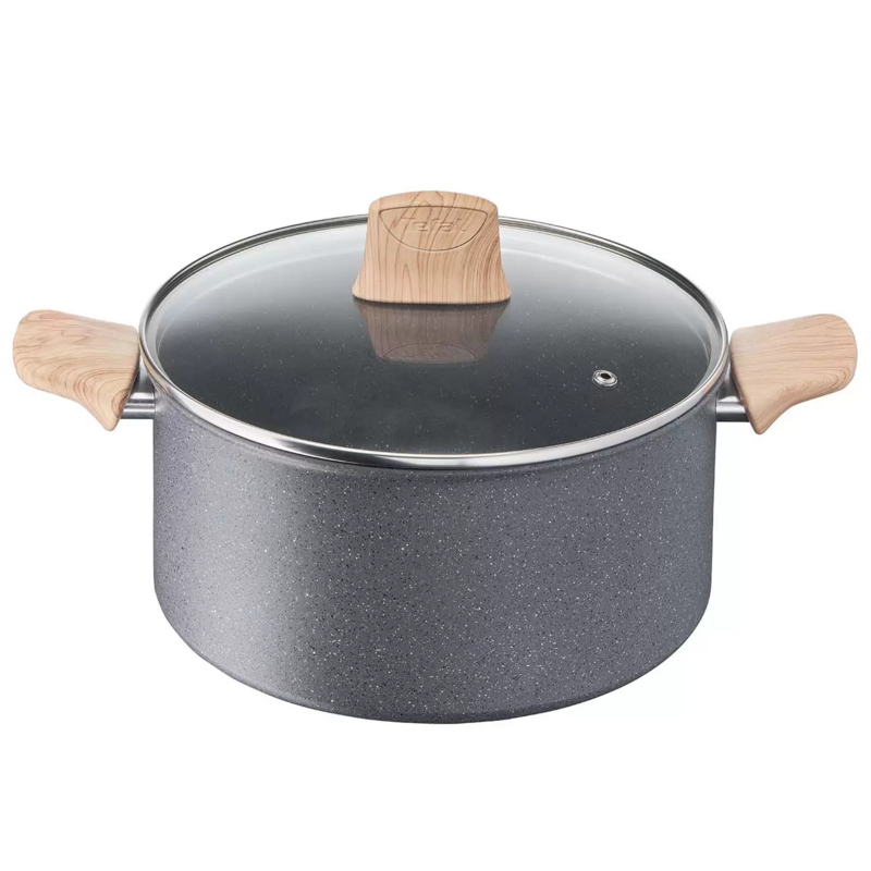 TEFAL Pot 24cm G2669053